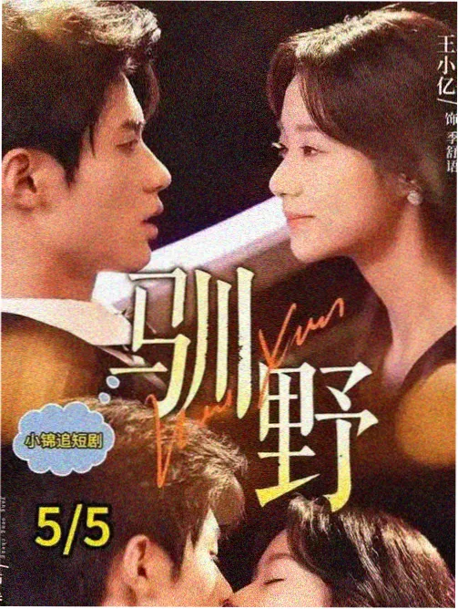 春山可望 现实题材剧集